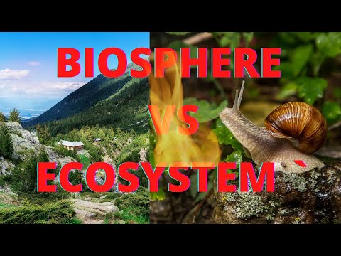 Video: Er økosfære og biosfære det samme?