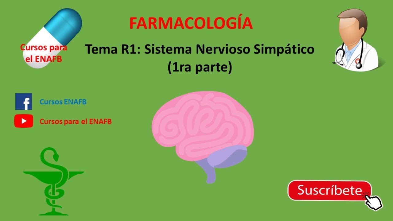 Tema R1: Sistema Nervioso Simpático (1ra parte)