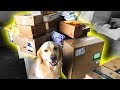 HUGE FAN MAIL OPENING! (Super Cooper Sunday #140)