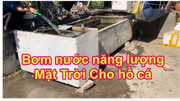 Bơm nước năng lượng Mặt Trời  160w chuyên dùng cho hồ cá Giá 1tr4