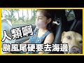 【港仔在台灣】颱風尾也要去海邊，玩車泊要準備什麼?