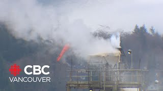 Crowdsourced odour-reporting app asks for increased use to fully map Metro Vancouver's 'smellscape'