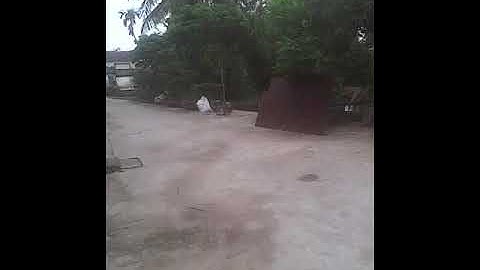 Các thanh niên đi câu trộm cá và cái kết đắng