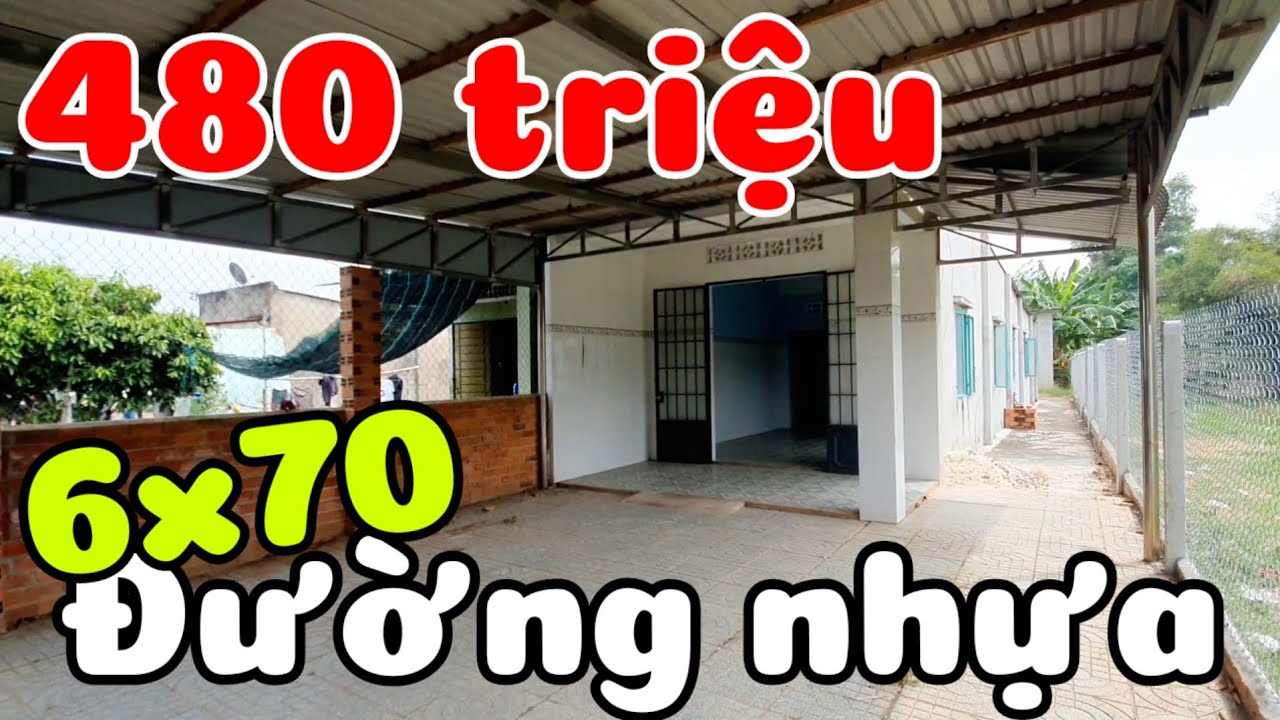 Nhà 6x70 đường nhựa giá rẻ 480 TRIỆU cách Chợ và 3 trường học 600m ở Hòa Hội Tây Ninh bao giấy tờ