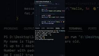 String Formatting in GoLang 😎 | Day 52 of 90 Days Challenge 💻