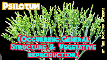 B.ScBotany-A,B.SBotanysemester1,ADPdegree, Psilotum(Occurrence,GeneralStructure) byThe PoolofScience