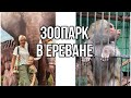 Армения/Ереван: Зоопарк в Ереване