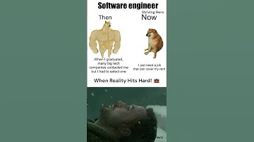 Reality Hits Hard: A Software Engineer