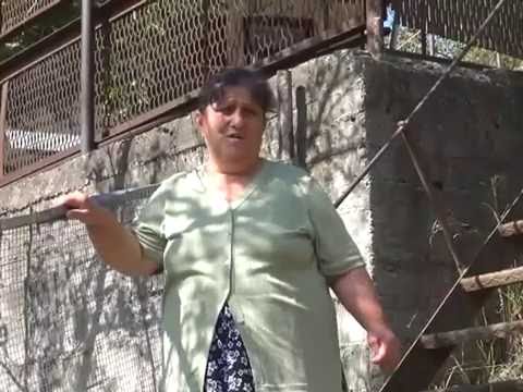 \"სახლიდან ვერ გამოვდივარ\" - უპატრონო ძაღლისგან შეშინებული მოქალაქე