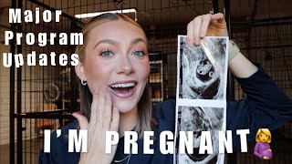 MAJOR PERSONAL & PROGRAM UPDATES | HUMAN BABY ON THE WAY by Bailey Williams | Rose and Reid Doodles 16,675 views 6 months ago 13 minutes, 13 seconds