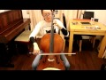 Cello Jargar C and G String Quick Test