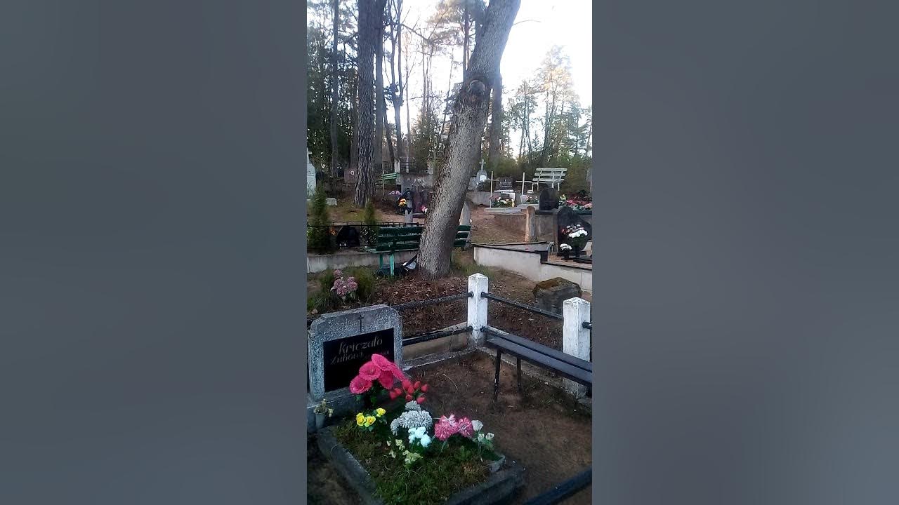 Могильный крест заброшенных кладбищ. Заброшенное кладбище. Кладбище валдушки в архангельске. Старое кладбище. Кладбище чистопрудное курган пожар.