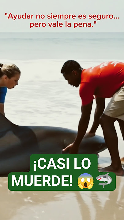 ¡CASI LO MUERDE! JOVEN SALVA A UN TIBURÓN VARADO 🦈⚠️ #valentía #momentotenso #naturalezapura