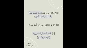 سورة طه | الآيات 124 - 126 | القارئ أنس لهبوبي