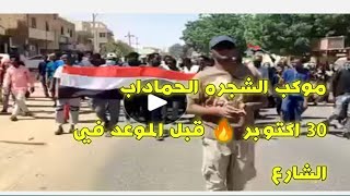 30 اكتوبر موكب الشجره الحماداب قبل الموعد    المحدد_الالالف تتدفق في الشوارع