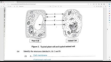 CSEC Biology JUNE 2022 Paper 2 Solutions