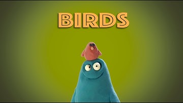 BIRDS - STOP FRAME ANIMATION #animation #waaber