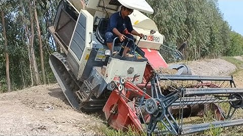 máy cắt 105 PRO ra đồng chạy rất nhanh cắt lúa rất lẹ tập10 #maibangtv