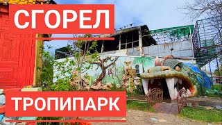 Тропипарк сгорел, пожар в Евпатории, животные погибли( Жесть.