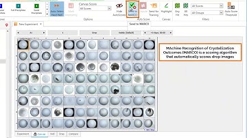 Autoscore Protein Drops with MARCO and ROCK MAKER
