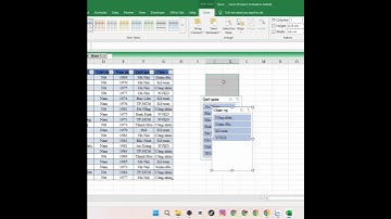 TIN HỌC HẠ LONG - LỌC DỮ LIỆU BẰNG CÔNG CỤ SLICER
