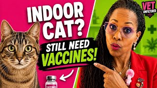 Most Cat Owners Get This Wrong About Vaccines