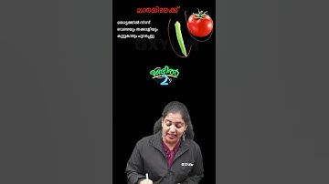 ONAM EXAM IMPORTANT QUESTIONS❗| Xylem Class 2