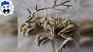 15 Scariest Things Ever Found In A Basement
