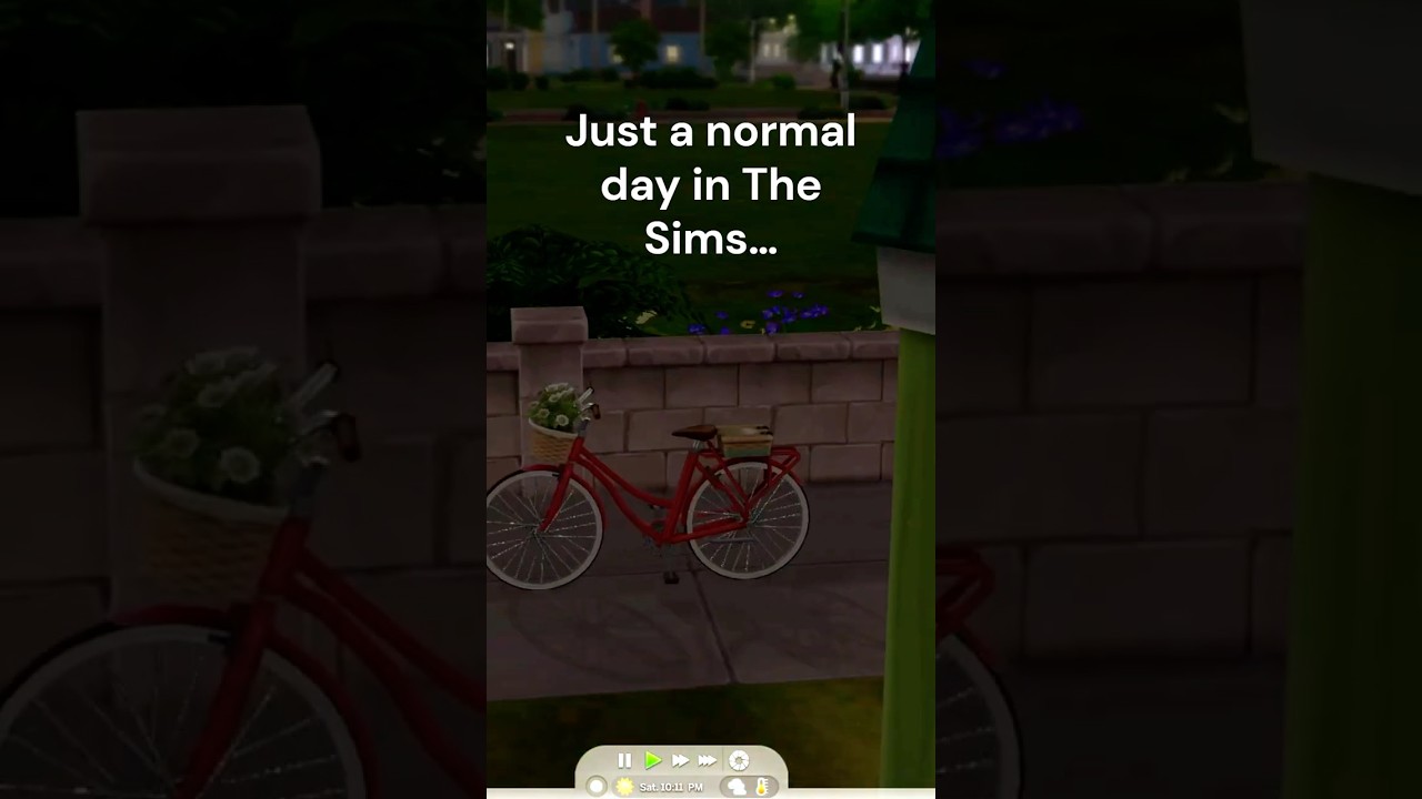 Invisibility! Where'd Rowan disappear to? 😂 