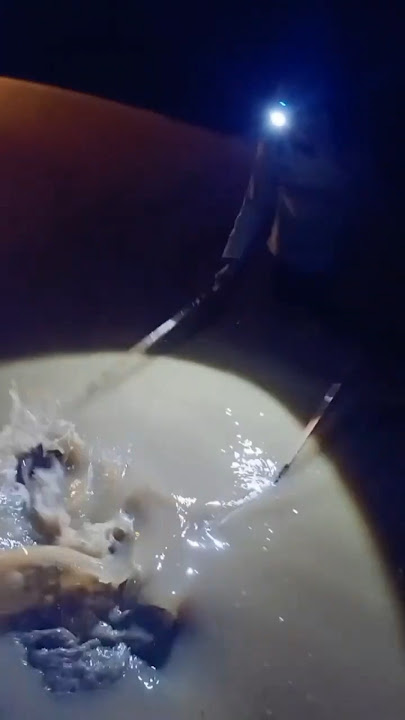 lagi asik mancing malah ada kang PLN !!!! #mancing #mancingmalam #fypシ