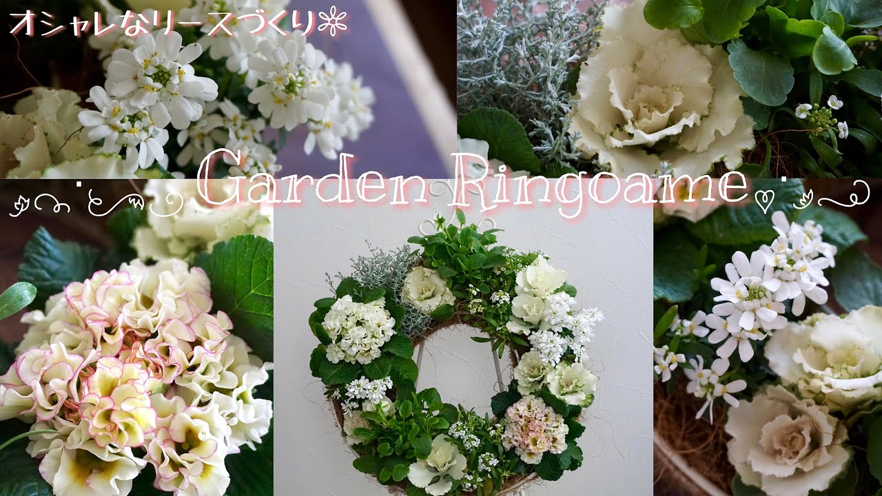 ガーデニング】お洒落なリースづくり🌼春まで楽しめるビオラ