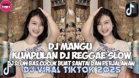 KUMPULAN DJ REGGAE SLOW TERBARU || DJ CAMPURAN VIRAL TIKTOK 2025🎵