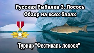 РР3. Лосось. Обзор на всех базах. Турнир \