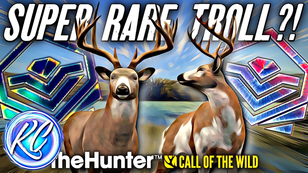 Shooting 14 STACKED Diamond Whitetail! My BIGGEST Diamond & SUPER RARE