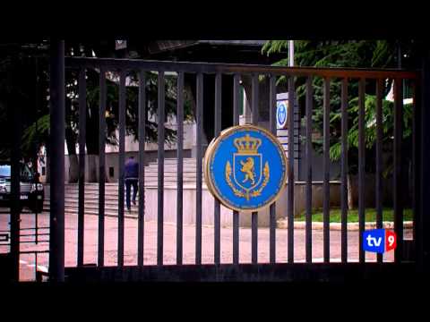 გრიფის გარეშე | 28.04.13