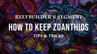 Zoanthids  How to Keep and Growing using Tips and Tricks (Reefbuilder's Video Segment)