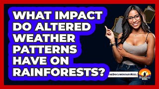 What Impact Do Altered Weather Patterns Have On Rainforests? - The Documentary Reel