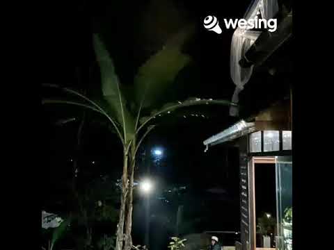 เสียใจก่อนถูกประหาร (Ariari 163)
