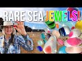 Rare Multicoloured Sea Glass! Beachcombing at Seaham Beach for (Incredible Treasures!)