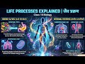 Class 10 Science: Life Processes One-Shot | Biology Concept Clear in 3D 🚀 | a2z learn science 🔥🔥