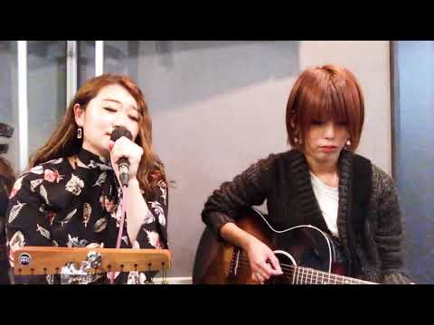猫/ DISH//COVERED By NICOLE