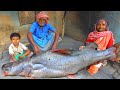 Big size river catfish cooking eating by santali tribal old couple