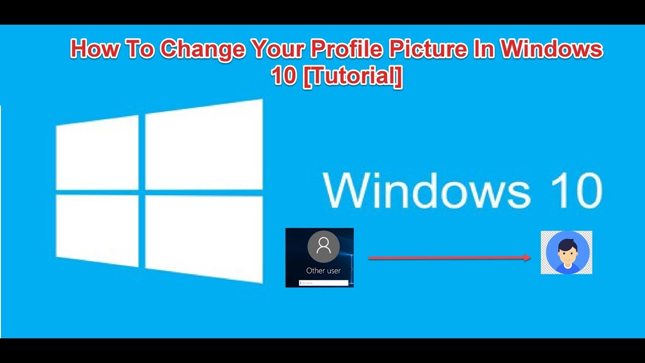 profile check pro download windows 10