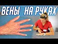 Вены НА РУКАХ - это ВАРИКОЗ? Как убрать вены на руках упражнениями?