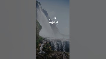 القرآن الكريم | محمد صديق المنشاوي #المصحف #اكسبلور #quran