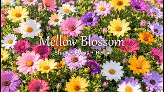 💙 Dreamy Blue Daisy Garden | Cheerful Piano & Flute Waltz for Reading, Focus & Relax screenshot 5
