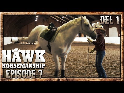 Video: Hesteudtørring - Vandtab Hos Heste