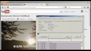 10Mbps VIP mac Download Test on Internet Download Manager screenshot 2