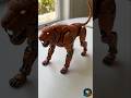 ⚡ AI Robot Leopard 🐆🤖 | Future Mechanical Animal Animation #shorts