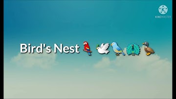 A Busy Month ( Birds Nest Making Activity- Class 4 NCERT)